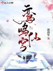 鸾鸣仙穹封面