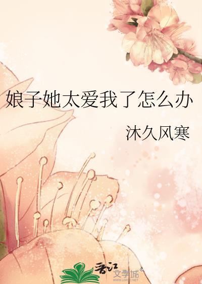 娘子她太爱我了怎么办封面