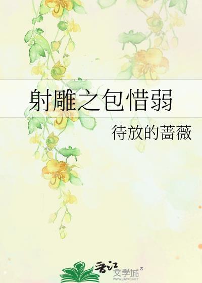 射雕之包惜弱封面