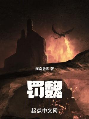 罚魏封面