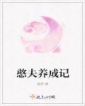憨夫养成记封面