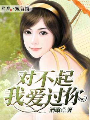 对不起我爱过你封面