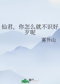 仙君，你怎么就不识好歹呢封面