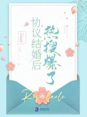 陆医生的心尖宠苏羡意陆时渊封面