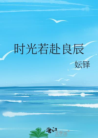 时光若赴良辰封面