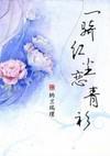 一骑红尘恋青衫封面