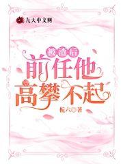 被渣后，前任他高攀不起封面