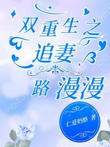 双重生之追妻路漫漫封面
