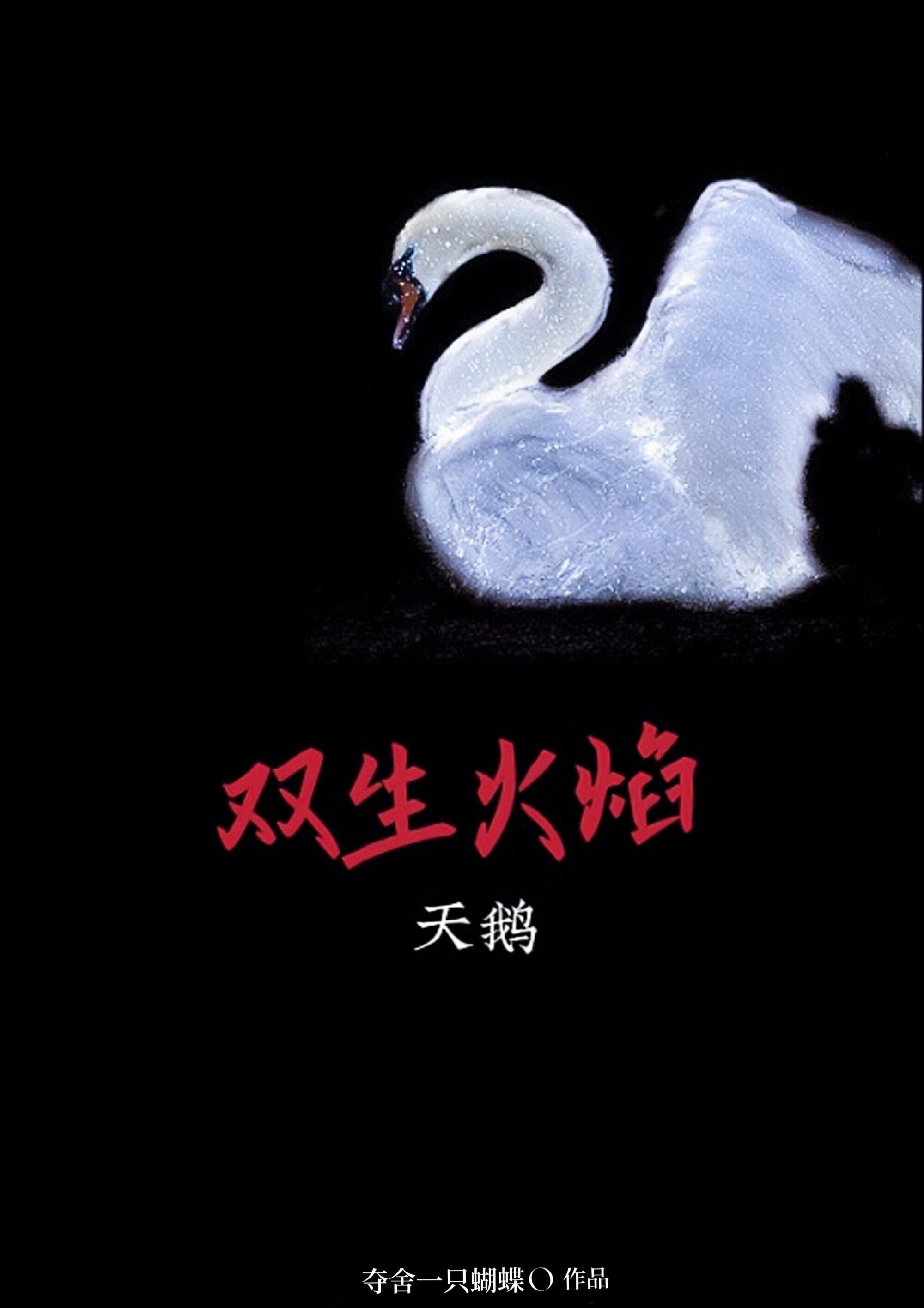 双生火焰封面