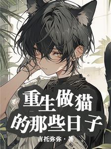 重生做猫的那些日子封面