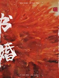 书婚封面