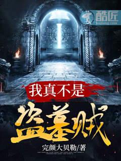 我真不是盗墓贼封面