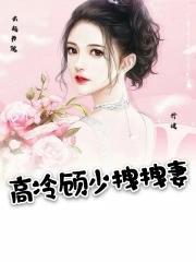 高冷顾少拽拽妻封面