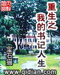 重生之我的书记人生王子君封面