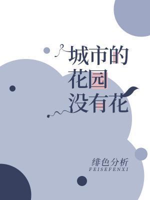 城市的花园没有花封面