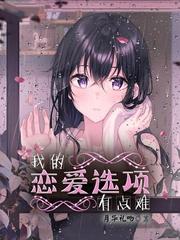 我的恋爱选项有点难封面