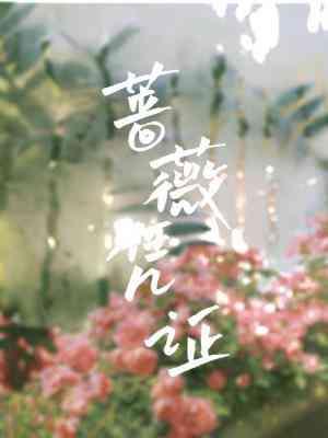 蔷薇凭证封面