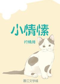小情愫封面