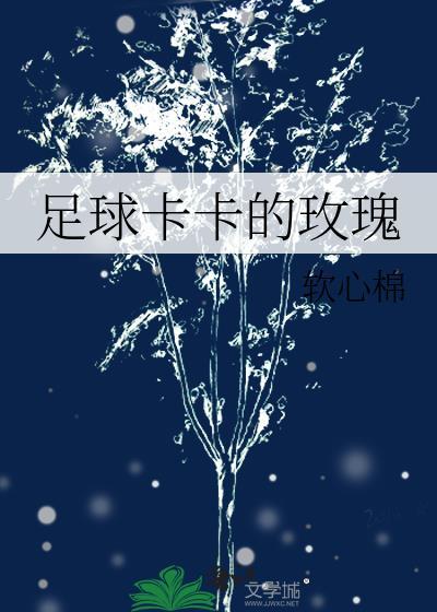 足球卡卡的玫瑰封面