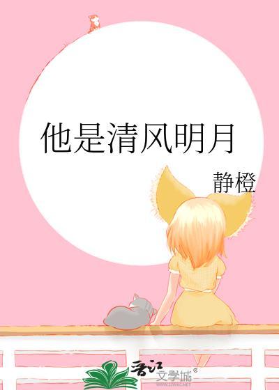 他是清风明月封面