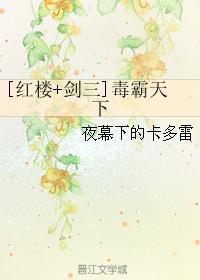[红楼+剑三]毒霸天下封面