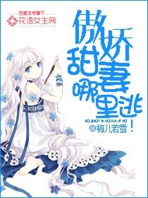 傲娇甜妻哪里逃封面