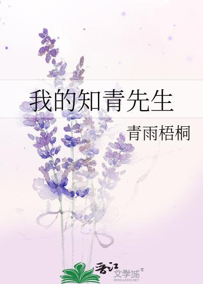 我的知青先生封面