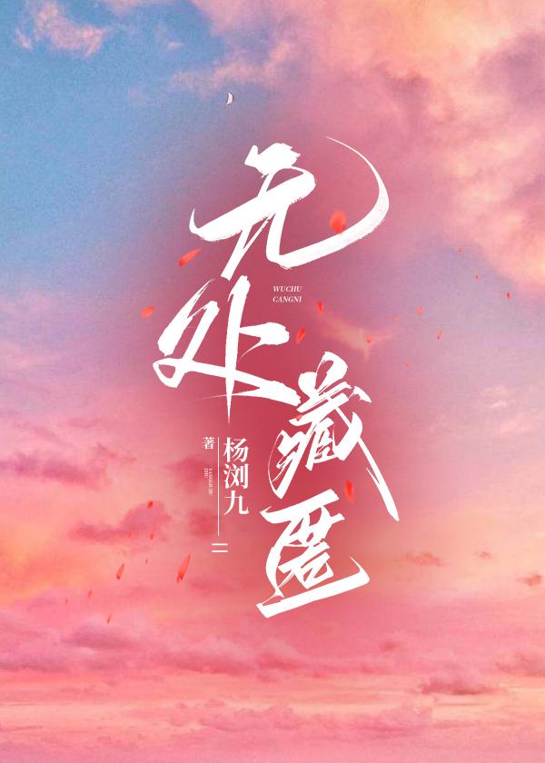 无处藏匿封面