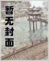 拐个老婆回家过年封面