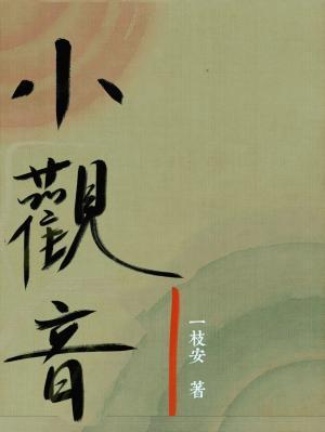 小观音封面