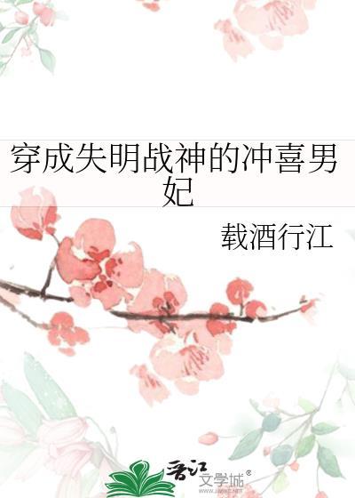 穿成失明战神的冲喜男妃封面
