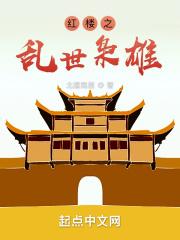 红楼之乱世枭雄封面