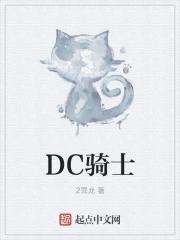 DC骑士封面