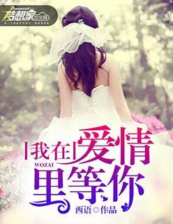 我在爱情裏等你封面