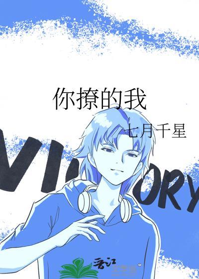 你撩的我封面