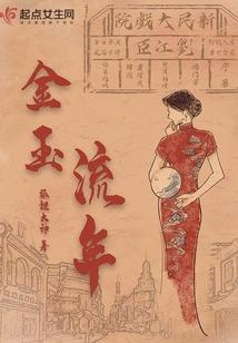 金玉流年封面