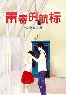 青春的航标封面