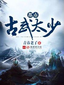 都市古武太少封面