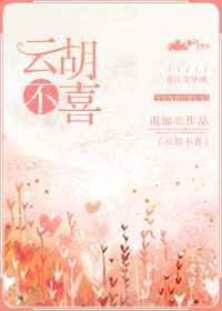 云胡不喜封面