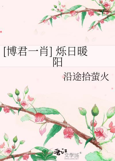 [博君一肖] 烁日暖阳封面