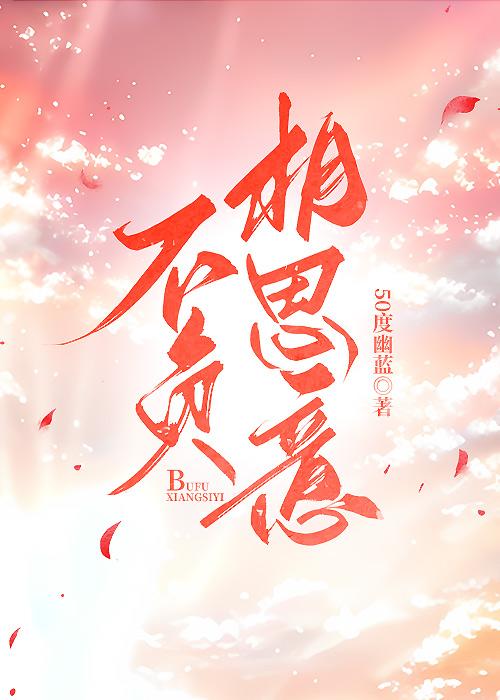 不负相思意封面