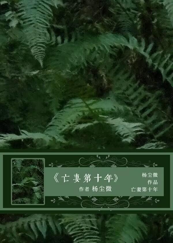 亡妻第十年封面