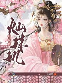 灿珠玑封面