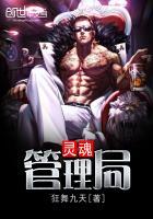 灵魂管理局封面