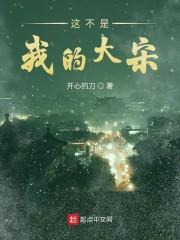 这不是我的大宋封面