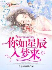 你如星辰入梦来封面
