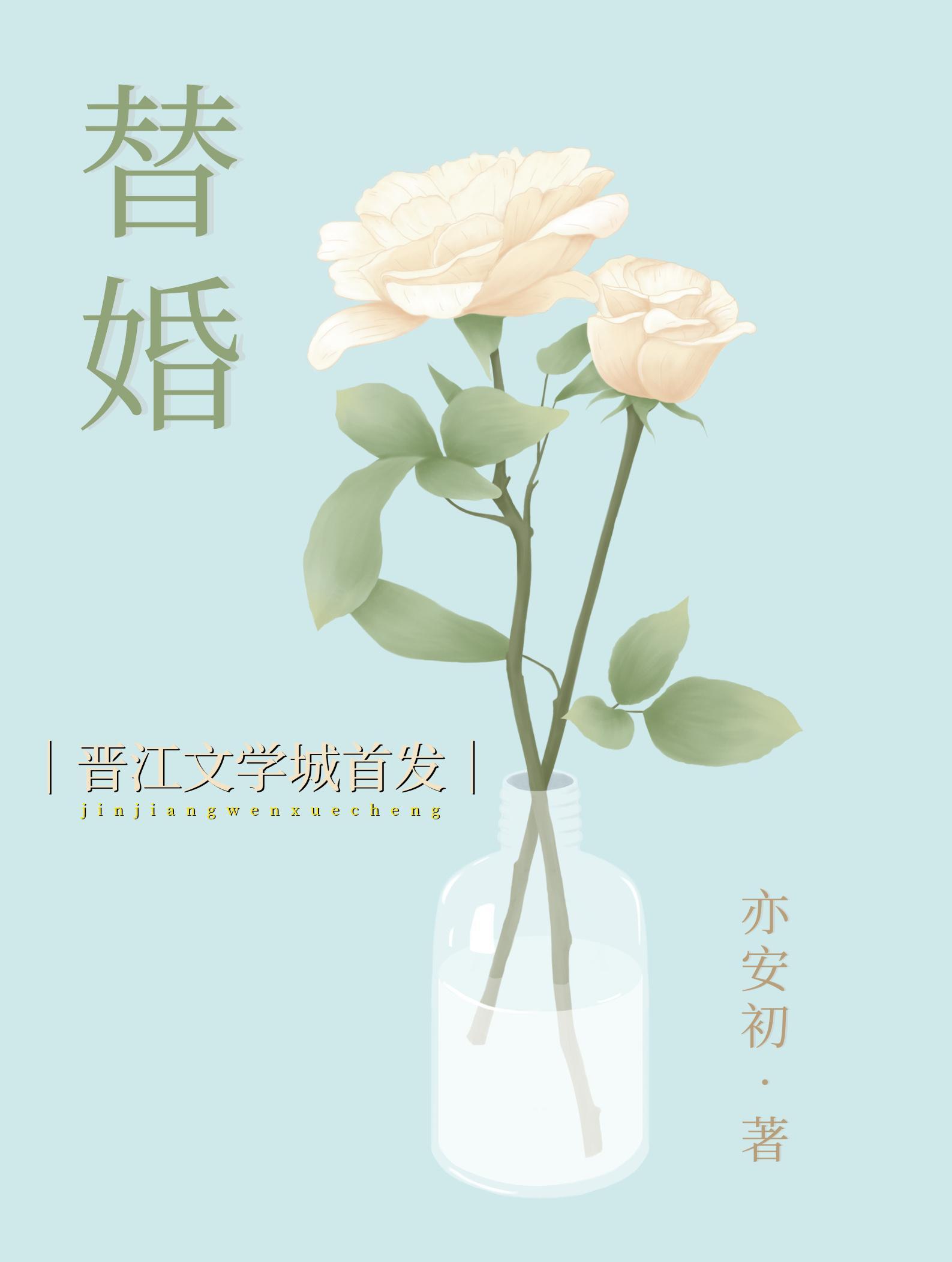 替婚封面