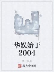 华娱始于2004封面
