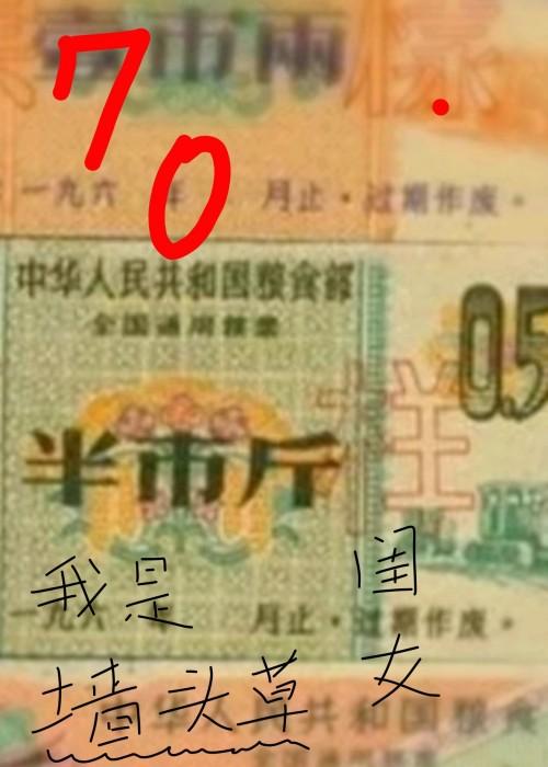 我是墻头草的闺女[七零]封面