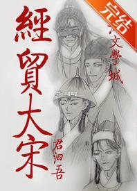 经贸大宋封面